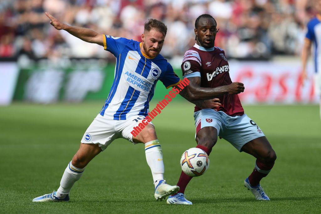 Soi kèo, dự đoán Brighton vs West Ham, 23h30 ngày 26/8 - Ngoại Hạng Anh soi keo du doan brighton vs west ham 23h30 ngay 26 8 ngoai hang anh 1