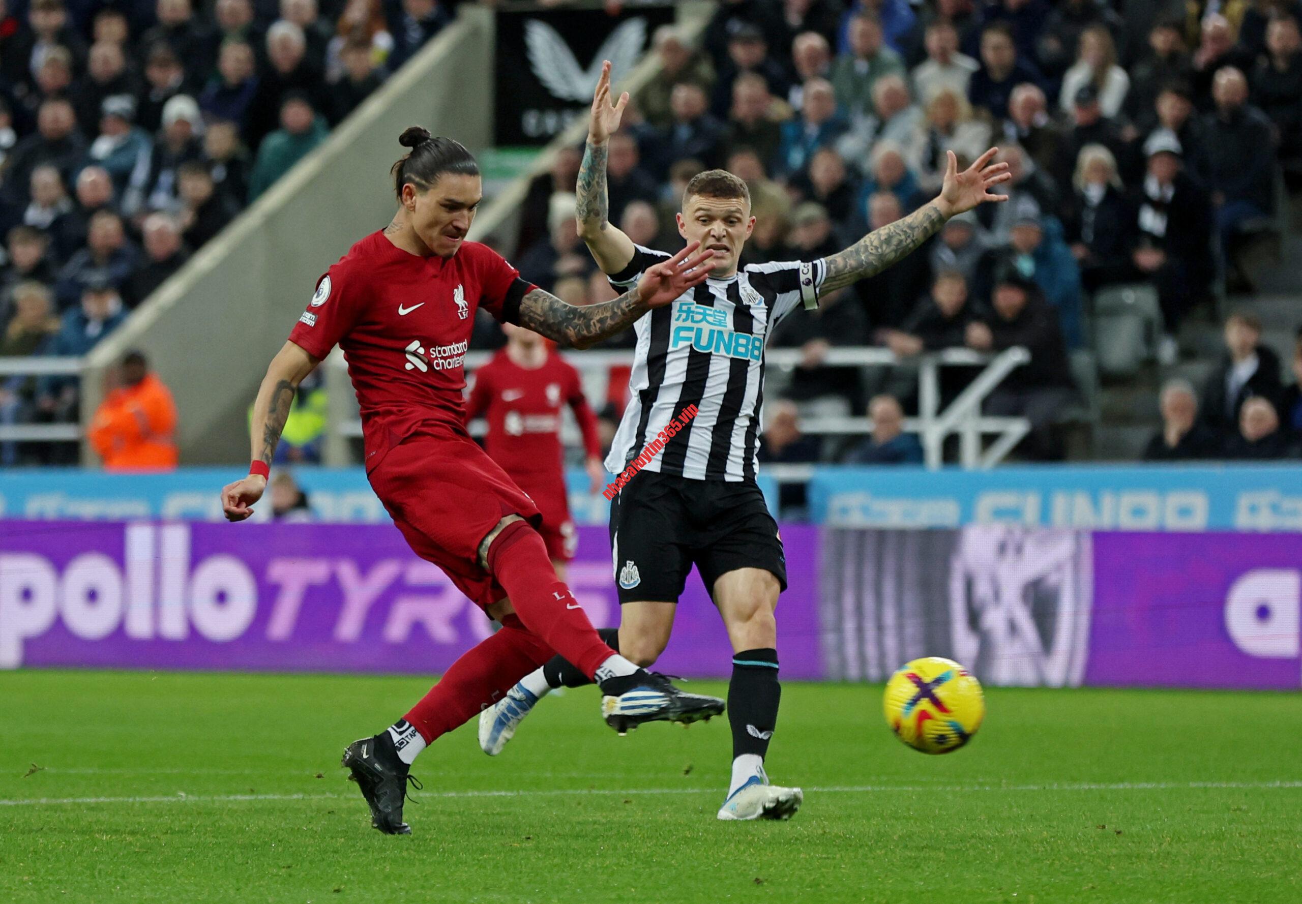 Soi kèo, dự đoán Newcastle vs Liverpool, 22h30 ngày 27/8 – Ngoại hạng Anh soi keo du doan newcastle vs liverpool 22h30 ngay 27 8 ndash ngoai hang anh1 scaled