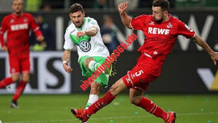 Soi kèo, dự đoán Osnabruck vs Cologne, 01h45 ngày 15/8 - Cúp Quốc Gia Đức soi keo du doan osnabruck vs cologne 01h45 ngay 15 8 cup quoc gia duc 1