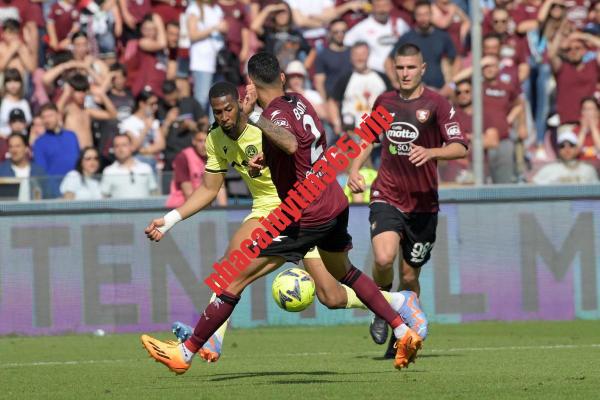 Soi kèo, dự đoán Salernitana vs Udinese, 23h30 ngày 28/8 – Serie A soi keo du doan salernitana vs udinese 23h30 ngay 28 8 ndash serie a1