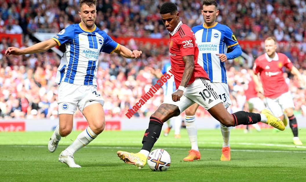 Soi kèo, dự đoán MU vs Brighton, 21h00 ngày 16/9 – Ngoại hạng Anh soi keo du doan mu vs brighton 21h00 ngay 16 9 ndash ngoai hang anh1