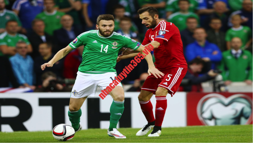 Soi kèo, dự đoán Gibraltar vs Ireland, 01h45 ngày 17/10 - Euro 2024 ireland 1