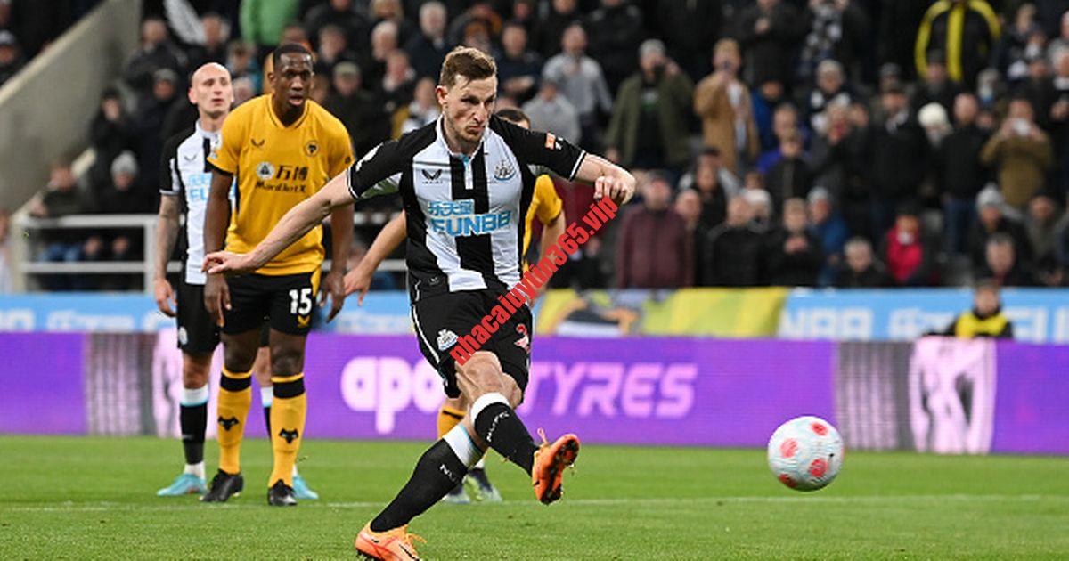 Soi kèo, dự đoán Wolves vs Newcastle, 23h30 ngày 28/10 - Ngoại Hạng Anh soi keo du doan newcastle vs bournemouth 21h00 ngay 17 9 ngoai hang anh1