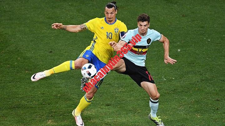 Soi kèo phạt góc Bỉ vs Thụy Điển, 01h45 ngày 17/10 – Vòng loại Euro 2024 soi keo phat goc bi vs thuy dien 01h45 ngay 17 10 ndash vong loai euro 2024 1