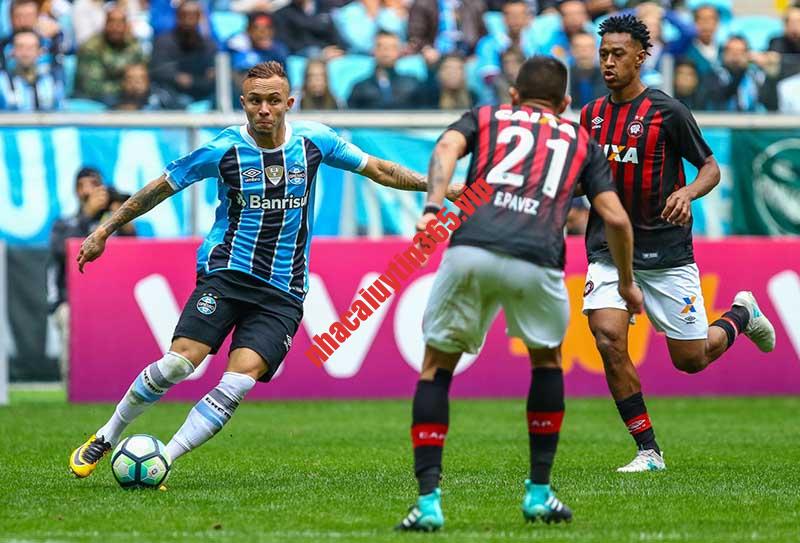 Soi kèo phạt góc Gremio vs Paranaense, 05h00 ngày 19/10 - VĐQG Brazil soi keo phat goc gremio vs paranaense 05h00 ngay 19 10 vdqg brazil 1