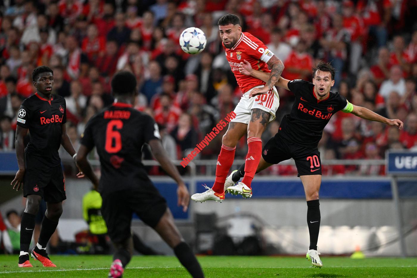 Soi kèo, dự đoán Salzburg vs Benfica, 03h00 ngày 13/12 - UEFA Champions League soi keo du doan salzburg vs benfica 03h00 ngay 13 12 uefa champions league 1