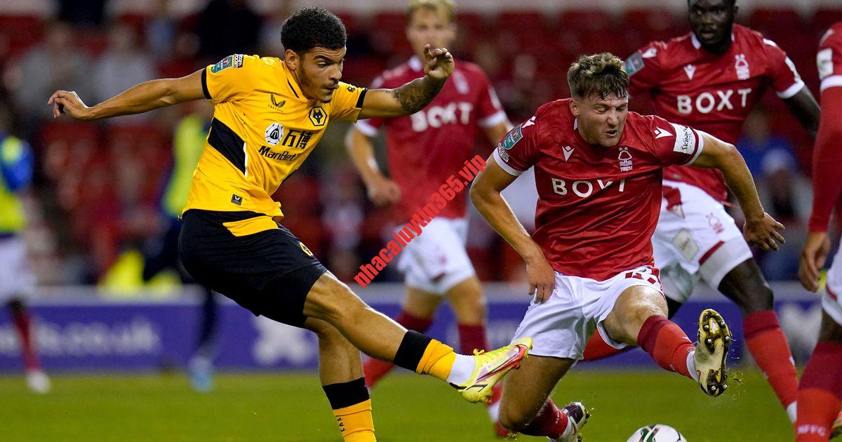 Soi kèo, dự đoán Wolves vs Nottingham, 22h00 ngày 9/12 - Ngoại Hạng Anh soi keo du doan wolves vs nottingham 22h00 ngay 9 12 ngoai hang anh 1