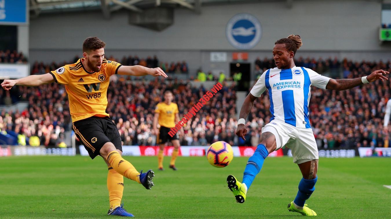 Soi kèo, dự đoán Brighton vs Wolves, 02h45 ngày 23/1 - Ngoại Hạng Anh soi keo du doan brighton vs wolves 02h45 ngay 23 1 ngoai hang anh 2