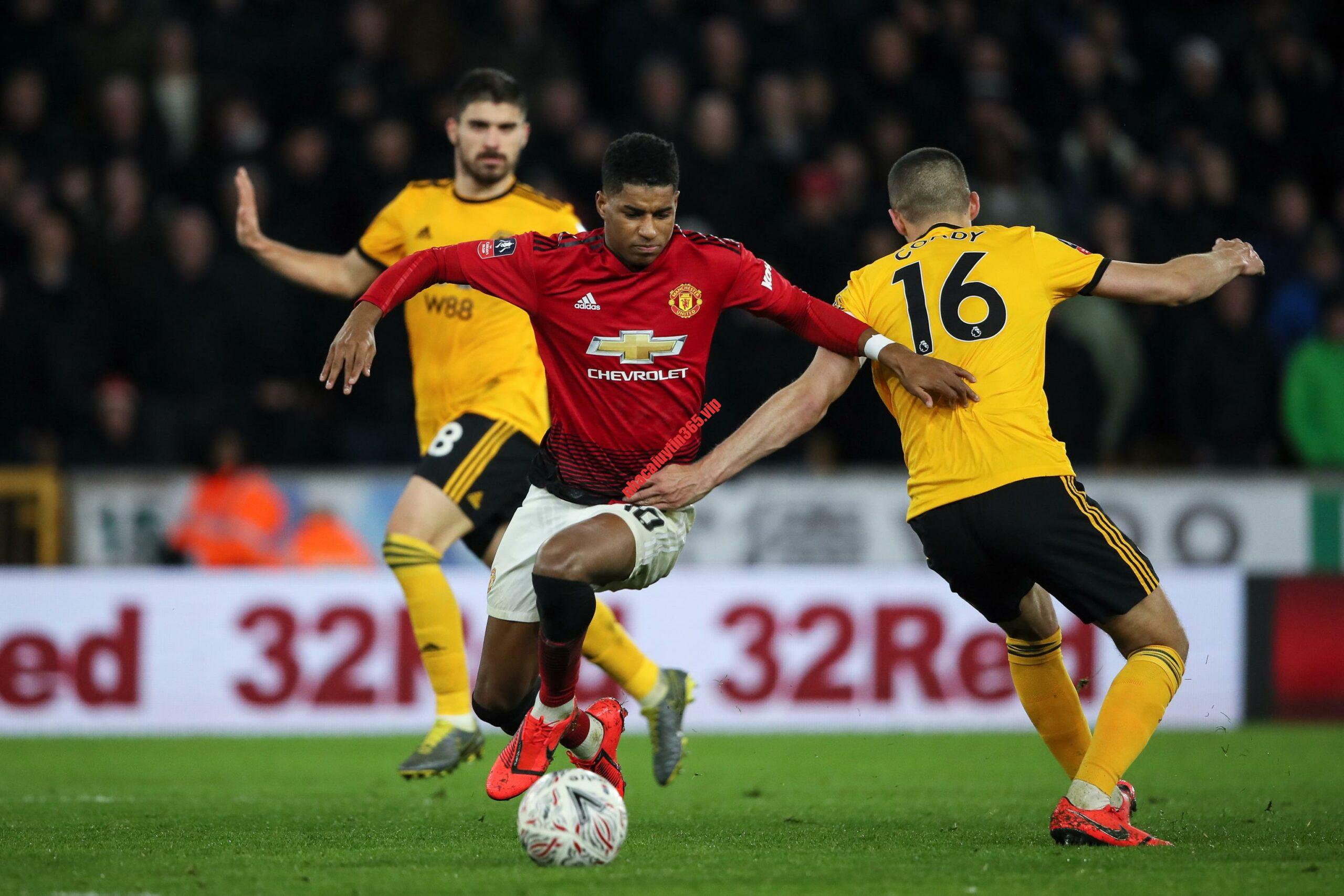 Soi kèo, dự đoán Wolves vs MU, 03h15 ngày 2/2 – Ngoại hạng Anh soi keo du doan wolves vs mu 03h15 ngay 2 2 ndash ngoai hang anh1 scaled