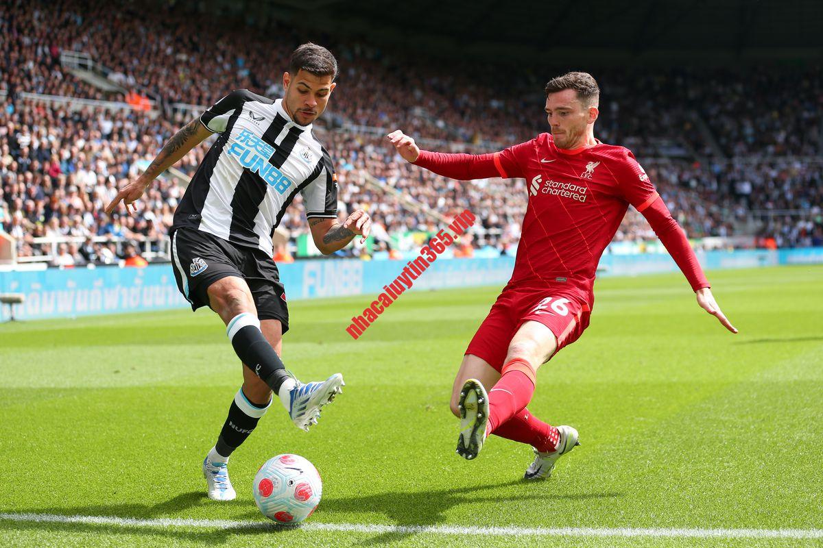 Soi kèo phạt góc Liverpool vs Newcastle, 03h00 ngày 2/1 - Ngoại Hạng Anh soi keo phat goc liverpool vs newcastle 03h00 ngay 2 1 ngoai hang anh 1