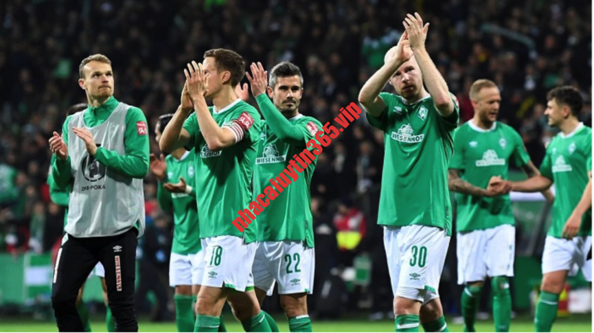 Soi kèo, dự đoán Cologne vs Bremen, 02h30 ngày 17/2 - VĐQG Đức chuye n gia nhan dinh bremen vs hannover