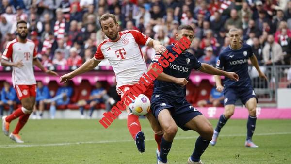 Soi kèo, dự đoán Bochum vs Bayern, 23h30 ngày 18/2 – Bundesliga soi keo du doan bochum vs bayern 23h30 ngay 18 2 ndash bundesliga1