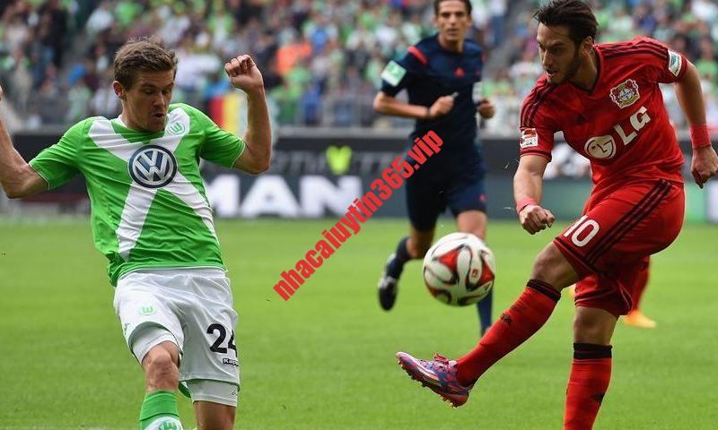 Soi kèo, dự đoán Leverkusen vs Wolfsburg, 01h30 ngày 11/3 - VĐQG Đức soi keo du doan leverkusen vs wolfsburg 01h30 ngay 11 3 vdqg duc 4